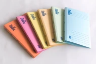 Assorted Colours Lion File Premium (400gsm) Manila Files with Plastic Flats. (100 Units Per Carton)