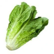 Romaine 1kg