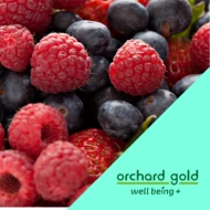ORCHARD GOLD MIXED BERRY 500G (8 Units Per Carton)