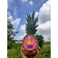 Ong Lai Premium Pina Reina MD2 Pineapple (1.5-1.9kg per pc)