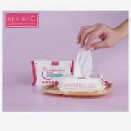 BERRY C ANTI-BACTERIAL WIPES (1 x 30pcs)
