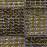 Gift dates box, Standard carton included mixed covered of 50 dates