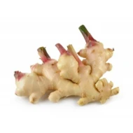 Young Ginger   Halia 500g