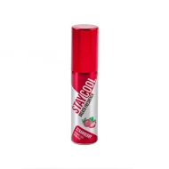Stay Cool Breath Freshener s Oral Hygiene Mouth Pump Spray Can - STRAWBERRY (10 Units Per Outer)