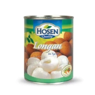 HOSEN LONGAN IN SYRUP 565G
