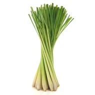 Lemongrass (35 KG Per Unit)