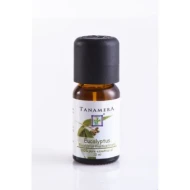 Essential oil Eucalyptus