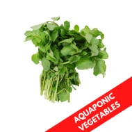 CRYSTAL KANGKONG AQUAPONIC