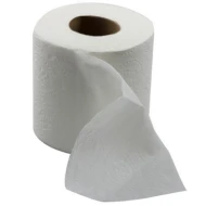 Toilet Roll 2 Ply Virgin Pulp (100 Units Per Carton)