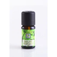 Essential oil Sweet Basil