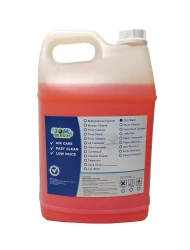 Dish Washer (lemon) (10L Per Unit)