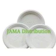 Biodegradable and Compostable 9' Plate (800 Units Per Carton)
