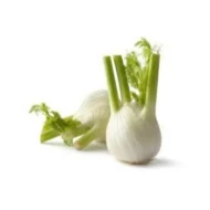 Fennel (sold by kg)