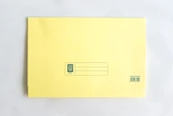 Yellow Colour Lion File Pocket File (144 Units Per Carton)