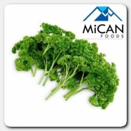 English Parsley (800G Per Unit)