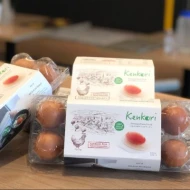 Kenkori Premium Farm Fresh Egg 10s