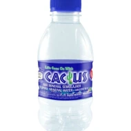 Desa Mineral Water 250ml (48 bottles)