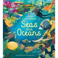 Look Inside Seas and Oceans ISBN: 9781474947060