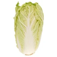 Chinese Cabbage - Kobis Panjang 1.5kg