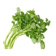 Watercress (sold by kg)