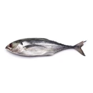 Frozen Ikan Cencaru 1kg