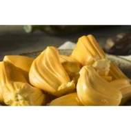 Jackfruit   Nangka