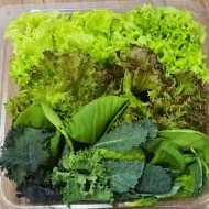 Agroz Mixed Salad 120g