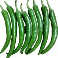 Green Chili   Cili Hijau (per kg)